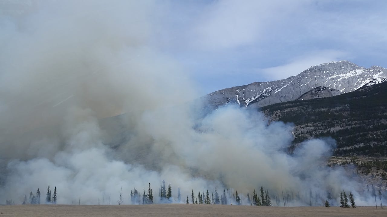 Preventing Wild Bushfires By Mapping Planned Burns